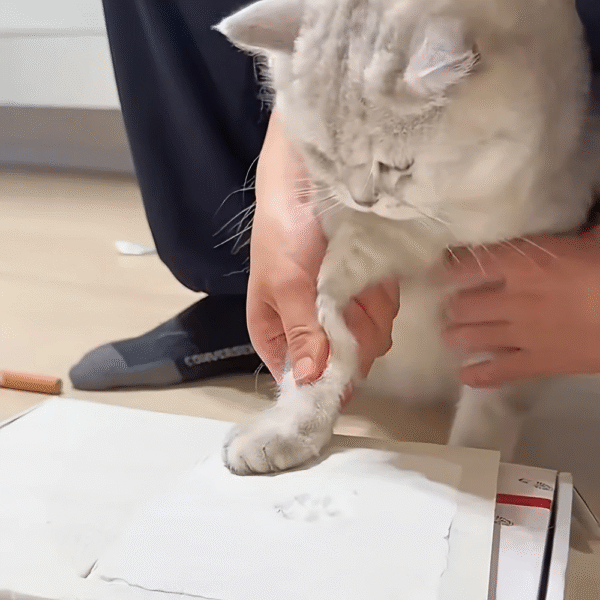 261e0663-2fbb-4824-9461-0cf00469b205 100g DIY Pet Paw Print Kit - Soft Air-Dry Clay Keepsake Gift Create Paw and Nose Prints Christmas Pet Memorial Decoration (Non-Toxic Plush Clay)