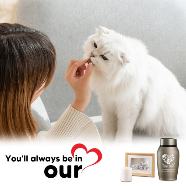 Stainless Steel Pet Memorial Urn - Available in 13.97 cm and 17.78 cm  Sealed Ash Container for Dogs and Cats  Elegant Memorial Gift, Protective Screw-Top Design, Timeless Style, Durable Construction for Bereaved Fa