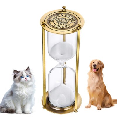 88+ (1) Pet Eternal Memorial Hourglass Jar - DIY Fillable Glass Ashes Container, Golden Metal Frame, Tribute Gift for Pets, Eternal Decoration (Metal Hourglass Timer, Vintage Brass Frame, No-Sand-Leak Design, Suitable for
