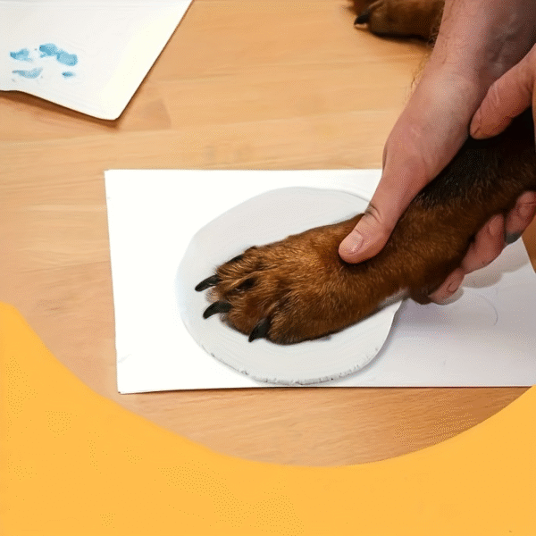 SKU 属性图_06 100g DIY Pet Paw Print Kit - Soft Air-Dry Clay Keepsake Gift Create Paw and Nose Prints Christmas Pet Memorial Decoration (Non-Toxic Plush Clay)