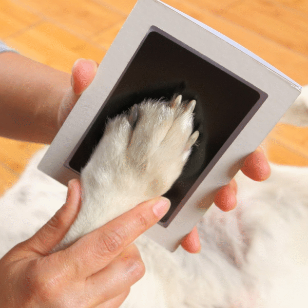 主图_04 Pet Handprint And Footprint Photo Frame Kit Clean Touch Ink Pad To Create Pet Hand And Foot Prints, Pet Shower Gifts For Registry, Memorable Keepsake Box Perfect Memory Or Gift