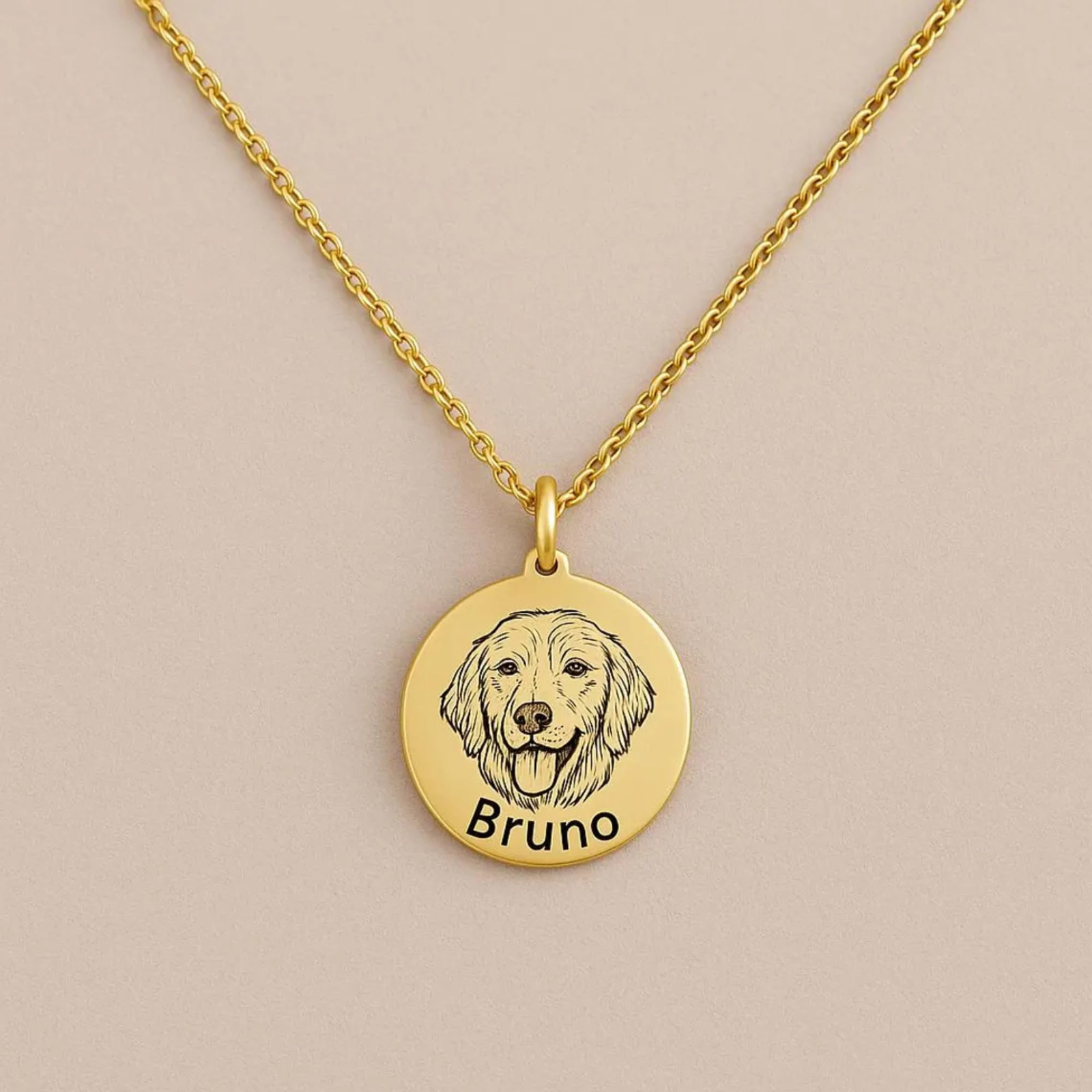 主图_05 Custom Pet Portrait Necklace Engraved Photo Memorial Jewelry