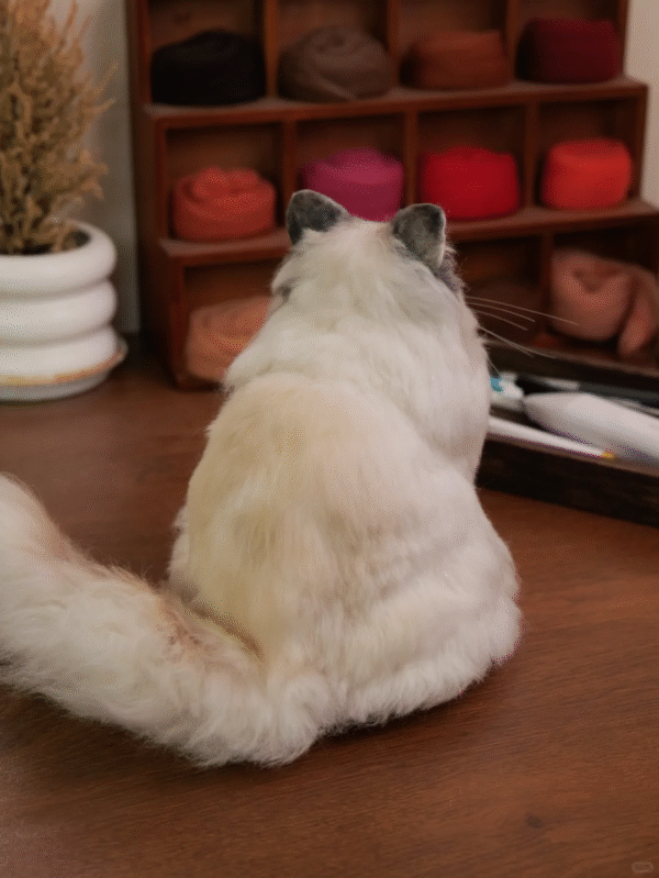 Felted 3D Pet Full Body