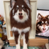 Custom Needle Felt 3D Pet Portrait