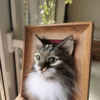 Custom Needle Felt 3D Pet Portrait