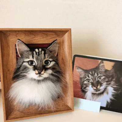 相框 (3) Custom Needle Felt 3D Pet Portrait