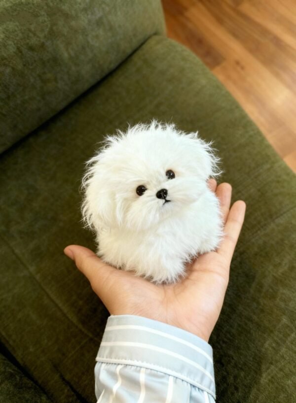 Puppy dog Twist Stick pipe cleaner animal, Perfectly Scaled Dollhouse Accessories, Christmas present